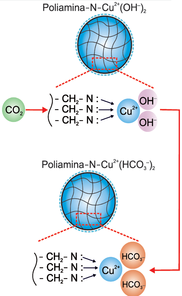 Esquema do processo de adsorção de dióxido de carbono pela poliamina contendo cobre, mostrando a conversão de Poliamina-N-Cu²⁺(OH⁻)₂ em Poliamina-N-Cu²⁺(HCO₃⁻)₂ após a adição de CO₂.