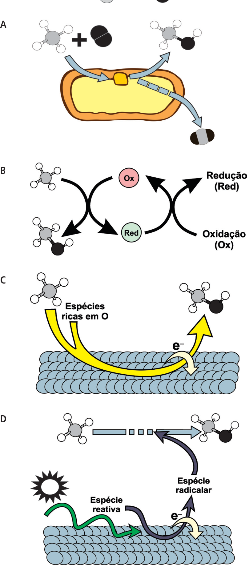 Esquemas de quatro rotas catalíticas (A, B, C e D) para a transformação de metano em metanol: A apresenta biocatálise celular; B apresenta catálise homogênea com ciclos redox; C apresenta catálise heterogênea sobre uma superfície sólida com espécies oxigenadas; D apresenta fotocatálise induzida por radiação luminosa sobre uma superfície sólida com geração de espécies reativas e radicais.
