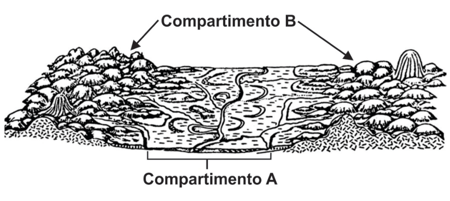 F1 Ilustração esquemática em perspectiva de uma paisagem mostrando dois compartimentos de relevo: o Compartimento A, ao centro, é uma planície de relevo plano com canais fluviais meandrantes e meandros abandonados; o Compartimento B, margeando a planície, é formado por terrenos elevados com morros de topos convexos e relevos residuais destacados.