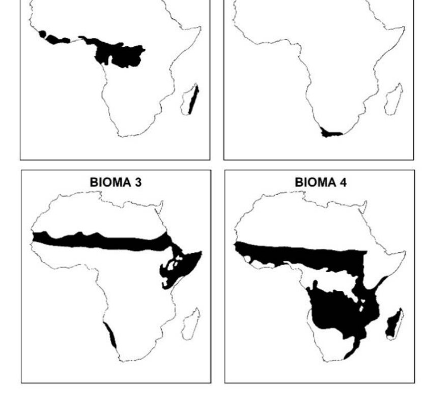 Quatro mapas do continente africano destacando em preto a localização de diferentes biomas: no primeiro (canto superior esquerdo), áreas na porção equatorial centro-oeste e no litoral leste de Madagascar; no segundo (canto superior direito), uma pequena área na ponta sul do continente; no terceiro, identificado como "BIOMA 3", uma faixa contínua abaixo do Saara (Sahel), o Chifre da África e uma faixa na costa sudoeste; no quarto, identificado como "BIOMA 4", uma ampla extensão que abrange faixas ao norte e ao sul da floresta equatorial e grande parte do sul do continente e de Madagascar.
