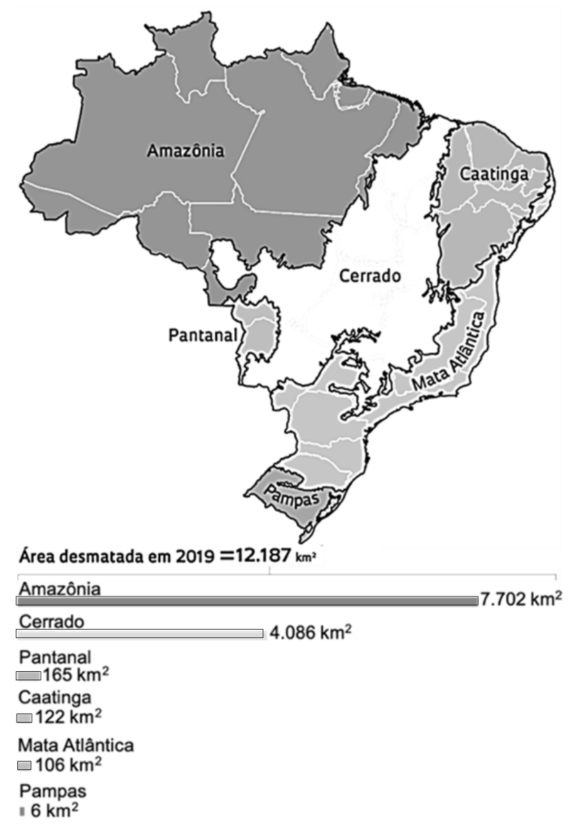 Mapa dos biomas brasileiros (Amazônia, Cerrado, Caatinga, Mata Atlântica, Pantanal e Pampas) e gráfico de barras horizontais indicando a área desmatada em 2019 para cada um: Amazônia com 7.702 km², Cerrado com 4.086 km², Pantanal com 165 km², Caatinga com 122 km², Mata Atlântica com 106 km² e Pampas com 6 km², totalizando 12.187 km².