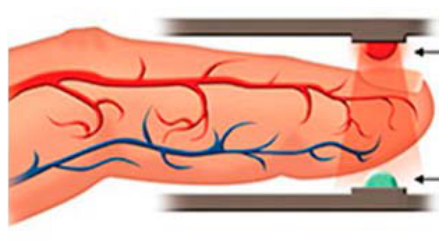 Esquema de um dedo posicionado no interior de um oxímetro de pulso, mostrando a rede vascular e a passagem dos feixes de luz pelos tecidos.