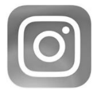 F1 Ícone do aplicativo Instagram
