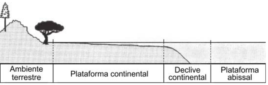 Perfil esquemático da transição entre continente e oceano, dividido em quatro compartimentos contíguos da esquerda para a direita: Ambiente terrestre, Plataforma continental, Declive continental e Plataforma abissal.