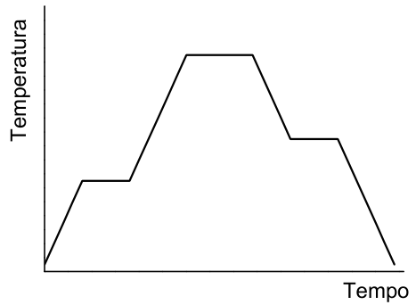 Gráfico de Temperatura por Tempo mostrando aquecimento com um patamar intermediário, patamar no topo, e resfriamento com patamar intermediário em nível superior ao primeiro.