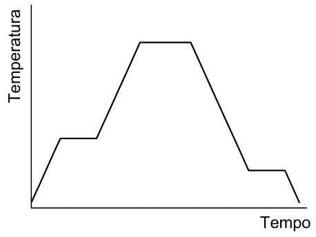 Gráfico de Temperatura por Tempo mostrando aquecimento com um patamar intermediário, patamar no topo, e resfriamento com patamar intermediário em nível inferior ao primeiro.