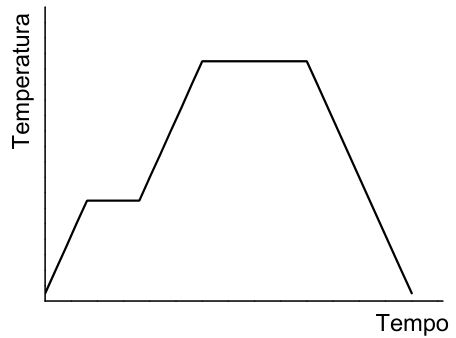 Gráfico de Temperatura por Tempo mostrando aquecimento com um patamar intermediário, patamar no topo, e resfriamento contínuo sem patamar intermediário.