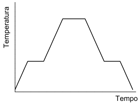 Gráfico de Temperatura por Tempo mostrando aquecimento com um patamar intermediário de fusão, patamar no topo, e resfriamento com patamar intermediário de solidificação na mesma altura do patamar de fusão.