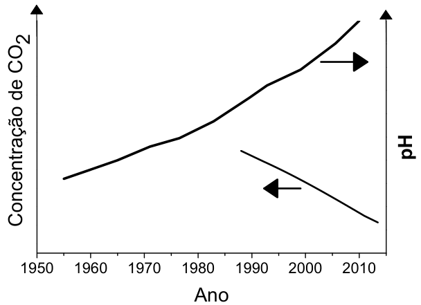 Gráfico idêntico ao da alternativa A, com eixo horizontal indicando o Ano, eixo vertical esquerdo indicando a Concentração de CO2 e eixo vertical direito indicando o pH. A curva crescente possui uma seta apontando para a direita (pH) e a curva decrescente possui uma seta apontando para a esquerda (Concentração de CO2).