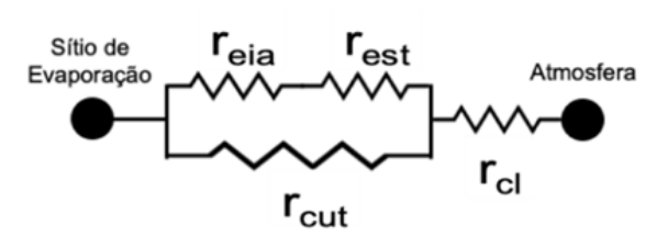 F1 Esquema representando as resistências à perda de água na folha análogas a um circuito elétrico: entre o 'Sítio de Evaporação' à esquerda e a 'Atmosfera' à direita, há uma associação mista. O circuito parte do Sítio de Evaporação e se divide em dois ramos paralelos: o ramo superior contém as resistências r_eia e r_est em série, e o ramo inferior contém a resistência r_cut. Após a junção desses ramos em paralelo, o circuito segue em série com a resistência r_cl até atingir a Atmosfera.