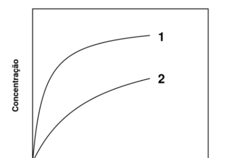 Gráfico com eixo vertical rotulado como "Concentração" e duas curvas partindo da origem em direção ao canto superior direito: a curva 1 sobe mais acentuadamente, alcançando níveis mais altos, enquanto a curva 2 sobe mais suavemente, em níveis mais baixos.