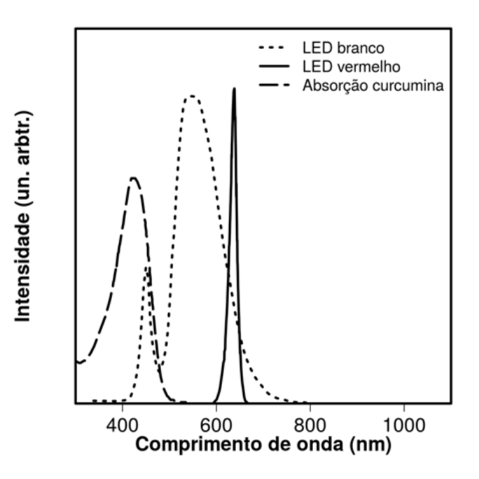 Gráfico de intensidade em função do comprimento de onda (nm), mostrando a curva de absorção da curcumina com pico em torno de 430 nm, a curva de emissão do LED branco com picos em aproximadamente 450 nm e 550 nm, e a curva de emissão do LED vermelho com pico estreito em torno de 650 nm.
