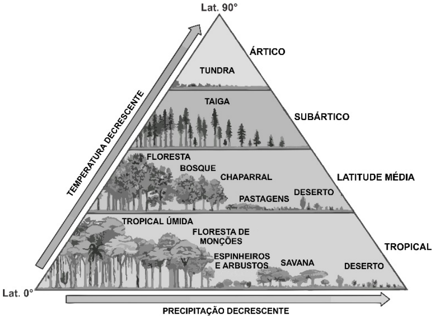 Gráfico triangular mostrando a distribuição dos biomas terrestres em função da latitude e temperatura decrescentes (do Lat. 0° ao Lat. 90°) e da precipitação decrescente (da esquerda para a direita). As zonas dividem-se em Tropical, Latitude Média, Subártico e Ártico, contendo biomas que variam de florestas úmidas e densas a savanas, desertos, taiga e tundra.