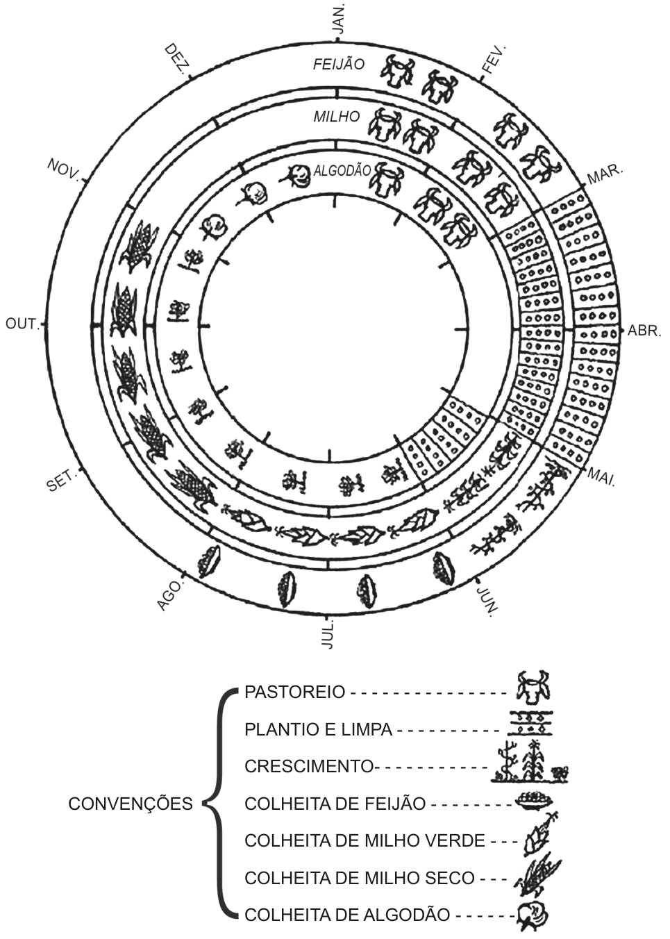 Diagrama circular que organiza o calendário anual com os meses de janeiro a dezembro divididos em anéis concêntricos para as culturas de feijão, milho e algodão, indicando os períodos de pastoreio, plantio e limpa, crescimento e colheita de cada cultura conforme as convenções da legenda.