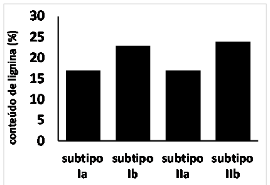 Gráfico de barras verticais mostrando o conteúdo de lignina em porcentagem no eixo vertical (de 0 a 30) para quatro amostras no eixo horizontal: subtipo Ia (~17%), subtipo Ib (~23%), subtipo IIa (~17%) e subtipo IIb (~24%).