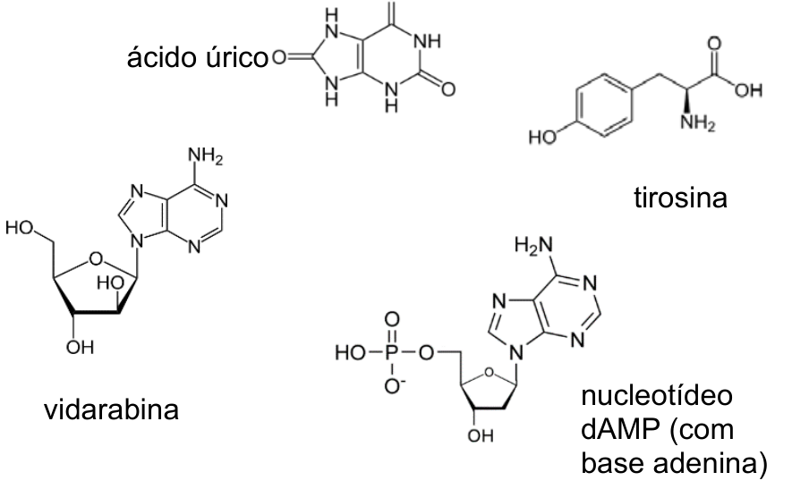 Fórmulas estruturais de quatro compostos: ácido úrico, tirosina, vidarabina e nucleotídeo dAMP (com base adenina).