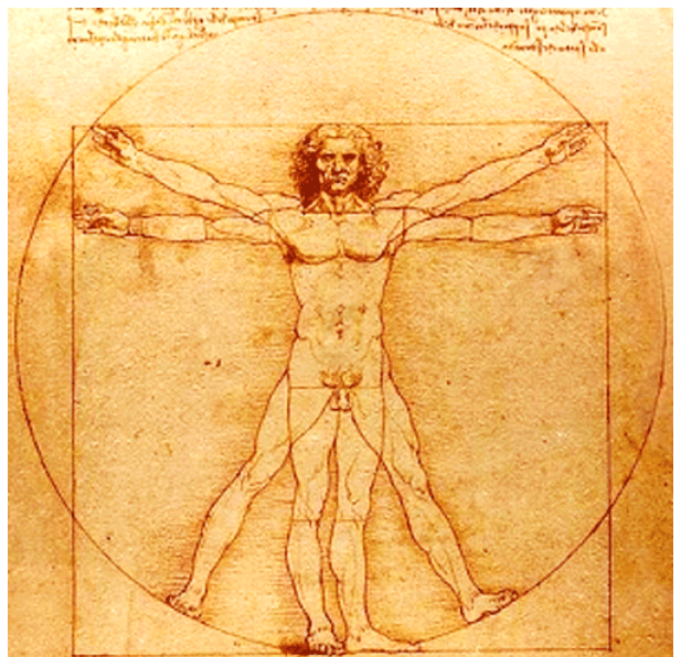 F1 O Homem Vitruviano, desenho de proporções do corpo humano masculino inscrito simultaneamente em um círculo e em um quadrado