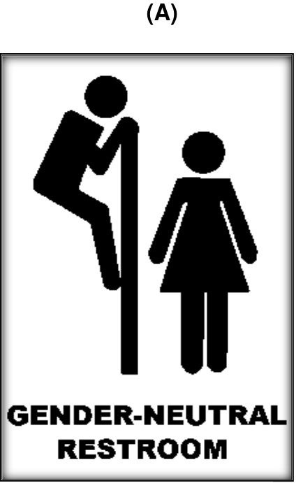 Panfleto (A): pictogramas pretos de uma pessoa escalando uma divisória e olhando por cima dela para uma pessoa com vestido, ao lado. Abaixo, o texto “GENDER-NEUTRAL RESTROOM”.