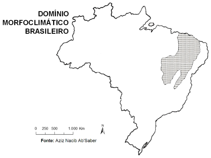 F1 Mapa do contorno do Brasil com o título "DOMÍNIO MORFOCLIMÁTICO BRASILEIRO", destacando com preenchimento tracejado a área correspondente ao domínio morfoclimático das Caatingas no Nordeste e norte de Minas Gerais. O mapa inclui escala gráfica de 0 a 1 000 km, rosa dos ventos indicando o Norte e a legenda "Fonte: Aziz Nacib Ab'Saber".