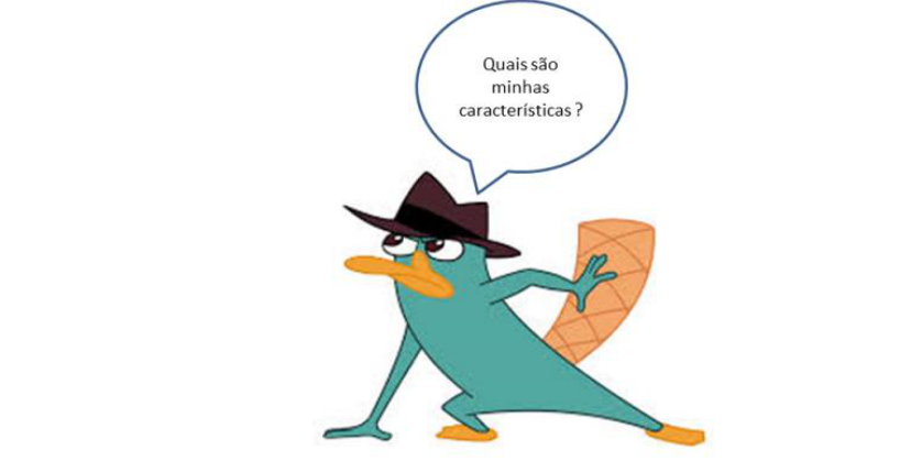 Perry o Ornitorrinco em pose de agente secreto, com chapéu, acompanhado de um balão de fala com o texto: "Quais são minhas características?"