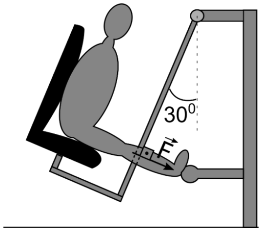 F1 Esquema de uma pessoa sentada em um equipamento de exercício com as pernas esticadas, exercendo uma força F em uma barra articulada inclinada a um ângulo de 30° em relação à linha vertical tracejada.