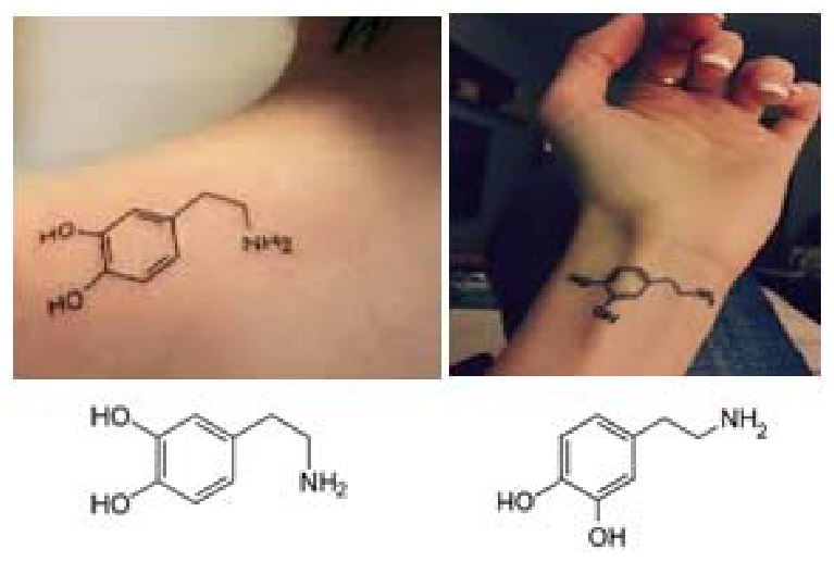 F1 Duas fotos de tatuagens na pele mostrando estruturas químicas e, abaixo de cada uma, o desenho correspondente da fórmula estrutural da dopamina em orientações espaciais ligeiramente diferentes.