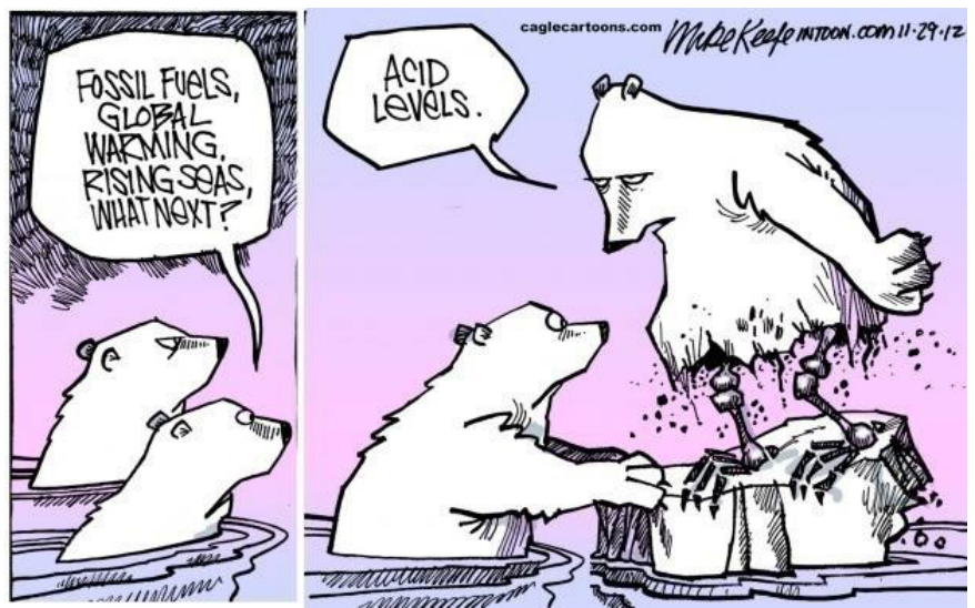 Tirinha em dois quadros de Mike Keefe. No primeiro quadro, dois ursos polares estão dentro da água e um deles diz: "FOSSIL FUELS, GLOBAL WARMING, RISING SEAS, WHAT NEXT?". No segundo quadro, um urso sobe em uma pedra ou bloco de gelo com as patas inferiores corroídas até o esqueleto e diz: "ACID LEVELS."
