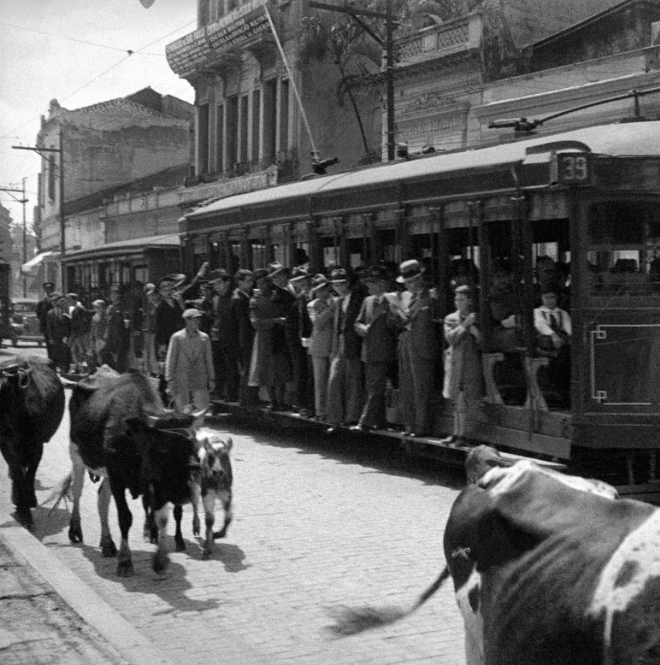 Fotografia em preto e branco da Rua da Liberdade em São Paulo, de 1937, mostrando gado caminhando pela rua calçada ao lado de um bonde elétrico lotado de pessoas vestindo trajes formais.