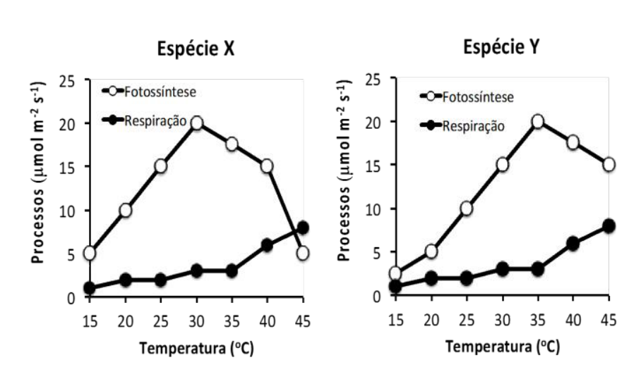 Gráficos que mostram as taxas de fotossíntese e respiração em função da temperatura (de 15 °C a 45 °C) para duas espécies de plantas, X e Y. O eixo vertical indica a taxa dos processos em micromoles por metro quadrado por segundo (de 0 a 25). Para a Espécie X, a fotossíntese atinge o pico em 30 °C (20 µmol m⁻² s⁻¹) e decai para 5 em 45 °C, onde a respiração é de aproximadamente 8 µmol m⁻² s⁻¹. Para a Espécie Y, a fotossíntese atinge o pico em 35 °C (20 µmol m⁻² s⁻¹) e fica em torno de 15 em 45 °C, enquanto a respiração fica em torno de 8 µmol m⁻² s⁻¹. Em 25 °C, a fotossíntese da Espécie X é de aproximadamente 15 e a respiração é cerca de 2; já para a Espécie Y, a fotossíntese é de 10 e a respiração é cerca de 2.