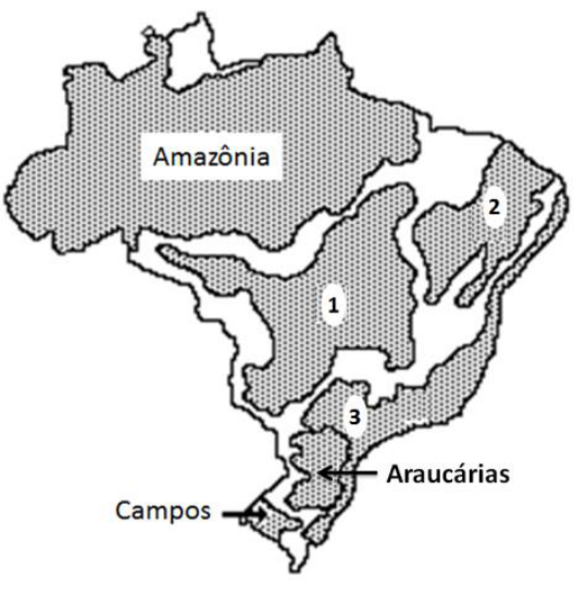 Mapa do Brasil indicando os domínios morfoclimáticos com os nomes Amazônia, Araucárias e Campos, além das regiões numeradas 1, 2 e 3.