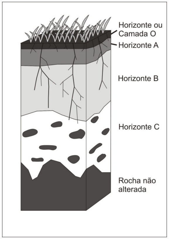 Perfil de solo esquemático ilustrando, de cima para baixo a partir da vegetação superficial: Horizonte ou Camada O, Horizonte A, Horizonte B, Horizonte C e Rocha não alterada.