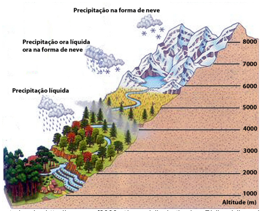 Esquema ilustrativo de uma montanha mostrando a distribuição da vegetação e o tipo de precipitação de acordo com a altitude, indicada em uma escala de 1000 a 8000 metros. Na base, até cerca de 2000 m, observa-se floresta tropical e precipitação líquida; entre 2000 e 3000 m, floresta temperada; entre 3000 e 5000 m, floresta de coníferas com precipitação ora líquida ora na forma de neve; entre 5000 e 6000 m, gramíneas; e acima de 6000 m, relevo rochoso coberto por gelo e neve com precipitação na forma de neve.