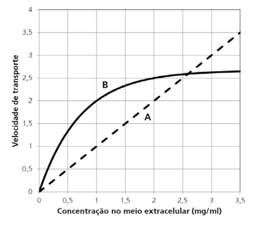 Gráfico de velocidade de transporte em função da concentração no meio extracelular (mg/ml) para as substâncias A e B. A substância A é representada por uma reta tracejada crescente linear a partir da origem, e a substância B por uma curva contínua que atinge um patamar de saturação próximo a 2,6.