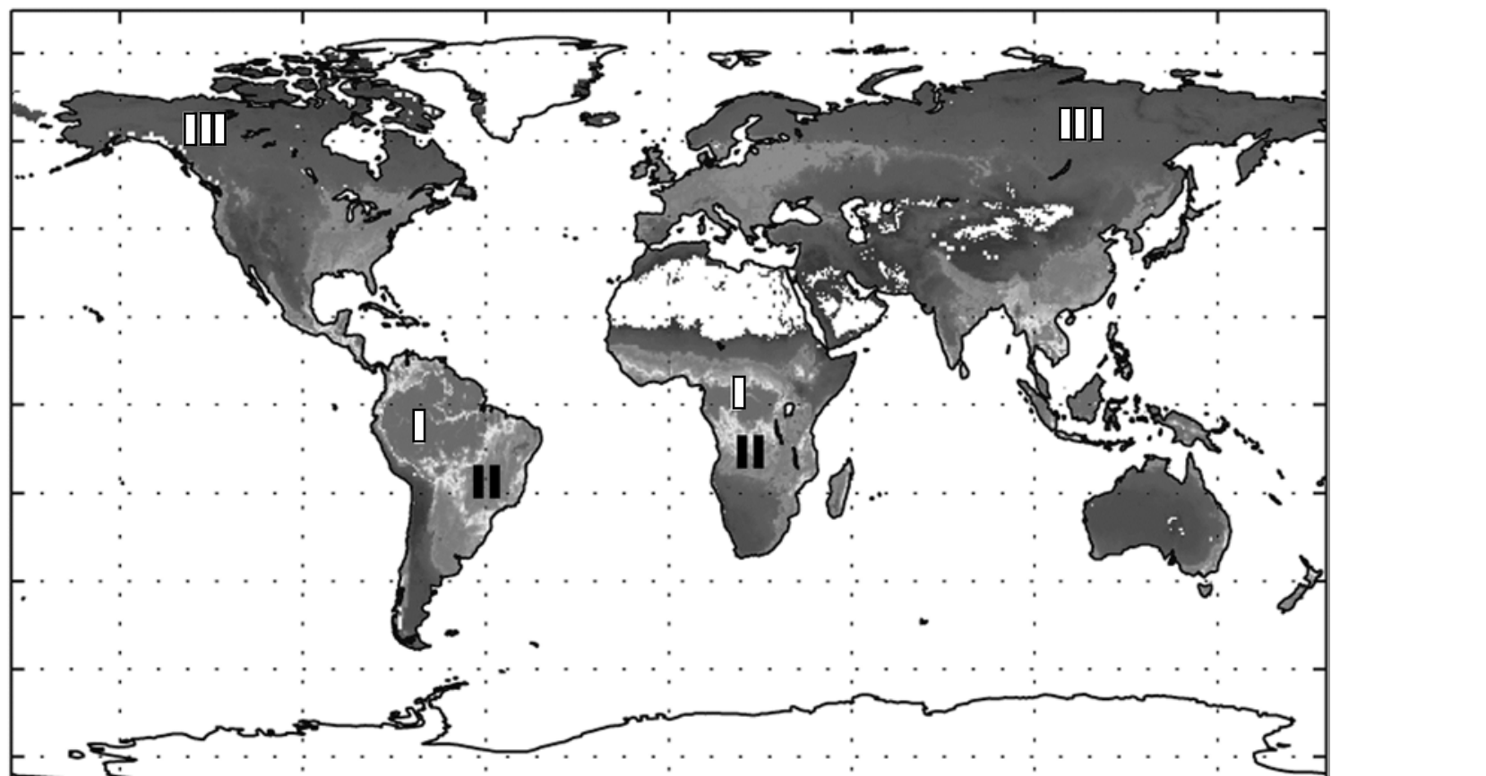 Mapa-múndi em escala de cinza com a distribuição global do fluxo de carbono. O número I está indicado na Amazônia e na bacia do Congo (África equatorial); o número II está indicado na porção central-sul da América do Sul e no sul da África equatorial; o número III está indicado no norte da América do Norte (Canadá/Alasca) e no norte da Eurásia (Sibéria).