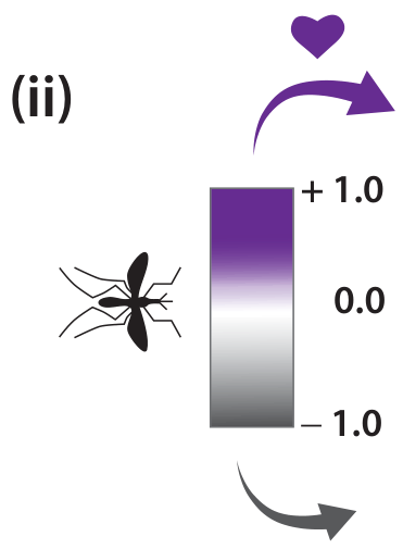 Experimento (ii), escala de atração: mosquito voltado para uma barra vertical graduada de -1.0 (cinza) a +1.0 (roxo), com setas curvas indicando preferência (+1.0, com coração) e aversão/menor atração (-1.0).