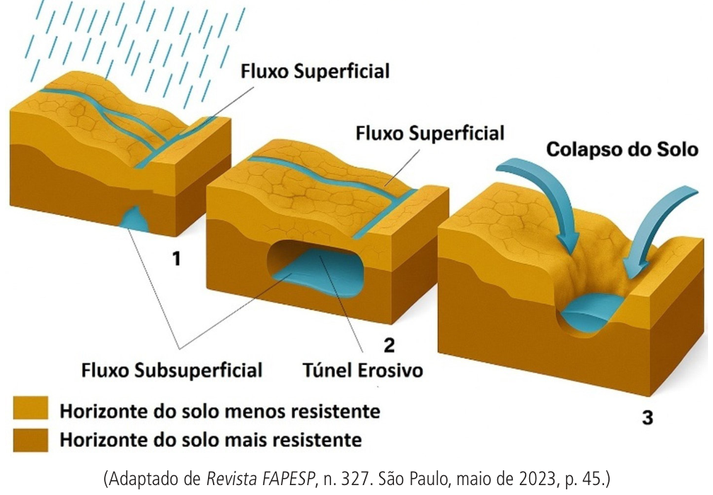 F1 Diagrama esquemático ilustrando três estágios (1, 2 e 3) da evolução de uma voçoroca em um perfil de solo composto por "Horizonte do solo menos resistente" (camada superior) e "Horizonte do solo mais resistente" (camada inferior). No estágio 1, sob precipitação, há ocorrência de fluxo superficial e infiltração gerando fluxo subsuperficial. No estágio 2, o fluxo superficial aprofunda o canal e o fluxo subsuperficial forma um túnel erosivo. No estágio 3, o teto do túnel colapsa ("Colapso do Solo"), abrindo uma grande voçoroca.