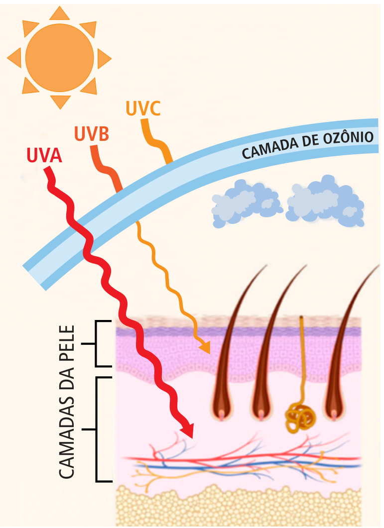 Esquema da radiação solar ultravioleta e das camadas da pele. Um sol aparece acima de uma faixa azul curva identificada como “CAMADA DE OZÔNIO”. As radiações são representadas por linhas onduladas: UVC é interrompida na camada de ozônio, UVB alcança a camada superficial da pele e UVA penetra até a derme. A pele é mostrada em corte, com pelos, uma glândula, vasos e ramificações nervosas, ao lado de colchetes com o texto “CAMADAS DA PELE”.
