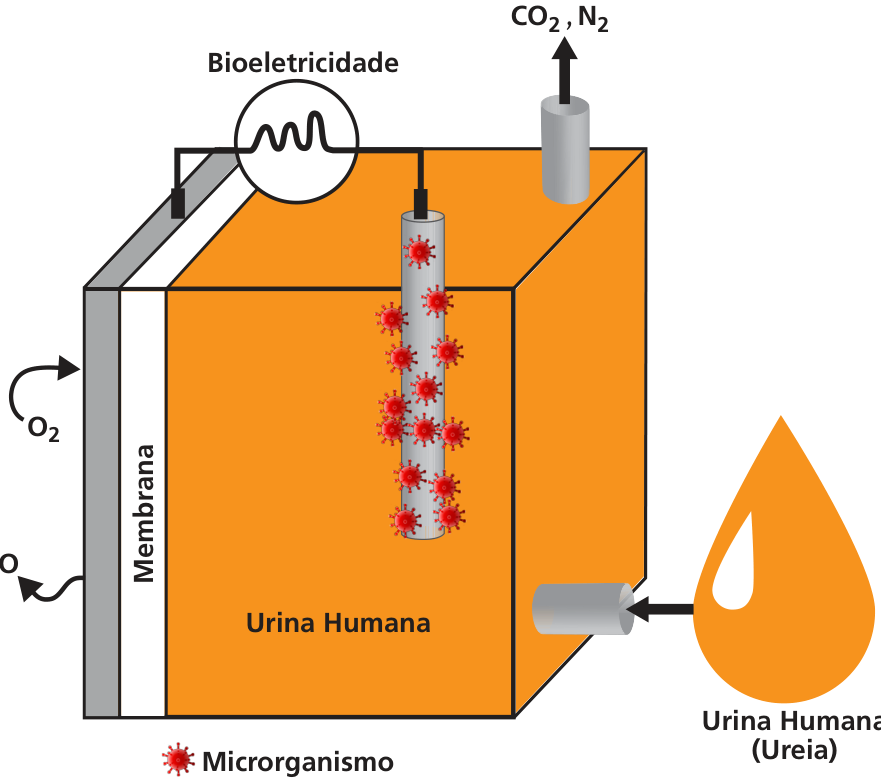 Esquema de uma célula a combustível microbiana. Um recipiente contém líquido identificado como “Urina Humana” e um eletrodo com microrganismos vermelhos aderidos, identificados na legenda como “Microrganismo”. O eletrodo está conectado por um circuito externo, com o rótulo “Bioeletricidade”, a outro eletrodo à esquerda. Na lateral esquerda há uma “Membrana”, uma seta de entrada de O₂ e uma seta de saída de H₂O. No topo do recipiente, uma seta indica a saída de CO₂, N₂. À direita, uma gota identificada como “Urina Humana (Ureia)” está ligada a uma seta de entrada no recipiente.