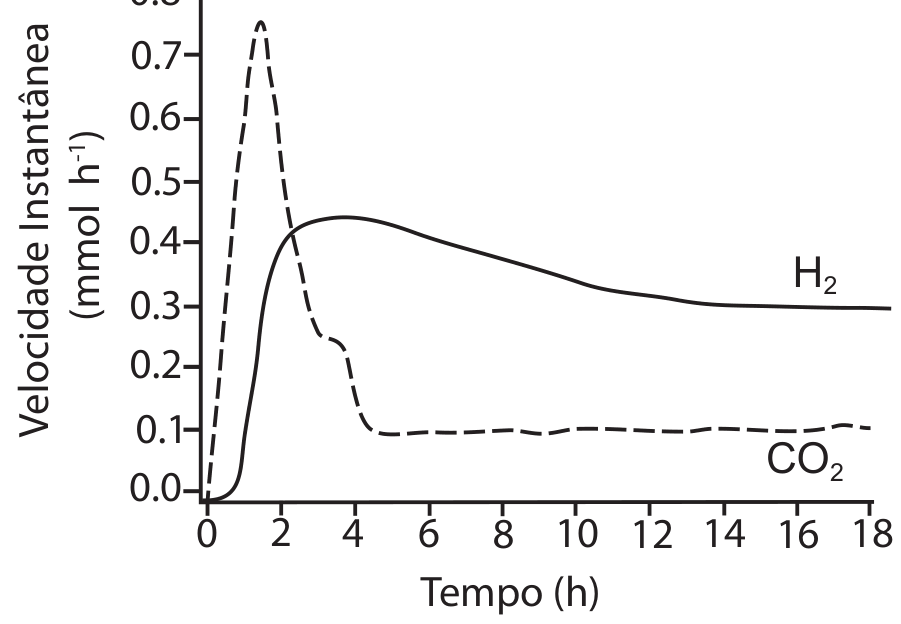 Gráfico de velocidade instantânea (mmol h⁻¹) em função do tempo (h). O eixo vertical varia de 0,0 a 0,8 e o horizontal de 0 a 18 h. A curva tracejada, identificada como CO₂, atinge um pico de aproximadamente 0,75 mmol h⁻¹ por volta de 1,5 h e decai para cerca de 0,1 mmol h⁻¹ a partir de 5 h. A curva contínua, identificada como H₂, atinge cerca de 0,44 mmol h⁻¹ próximo de 3 a 4 h e decai suavemente até estabilizar em 0,3 mmol h⁻¹ a partir de 14 h.