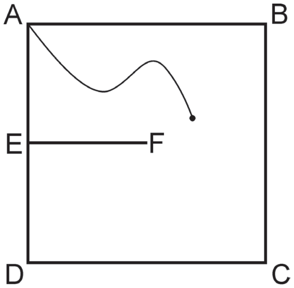 Quadrado ABCD com o ponto E no ponto médio de AD e um segmento horizontal EF representando o muro. Uma linha curva sai do vértice A e contorna a extremidade F do muro.