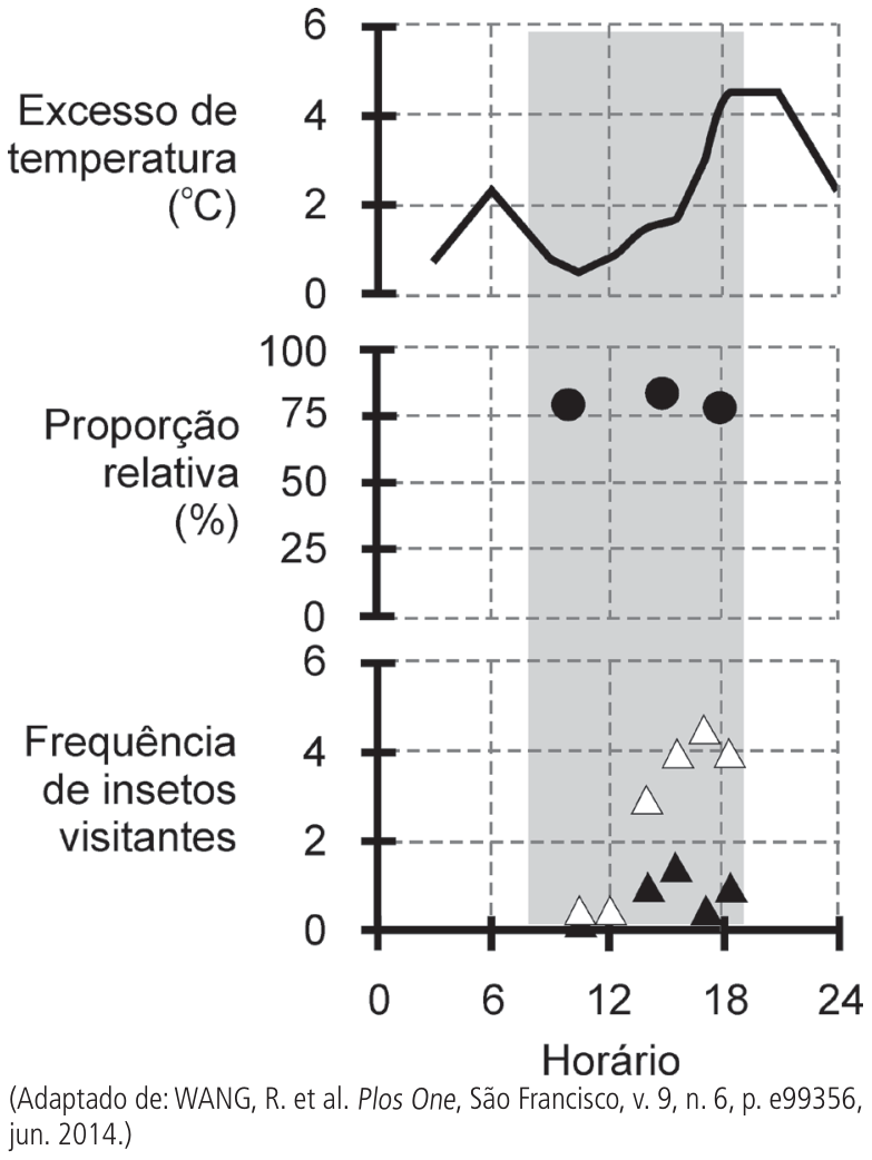 Três gráficos alinhados verticalmente com eixo horizontal comum de horário de 0 a 24 horas, com área sombreada em cinza entre aproximadamente 8h e 19h (flores abertas). O gráfico superior mostra o excesso de temperatura em graus Celsius de 0 a 6, com curva atingindo pico de cerca de 4,5 °C entre 15h e 18h. O gráfico intermediário mostra a proporção relativa em porcentagem de 0 a 100%, com círculos pretos entre 10h e 18h em torno de 75% a 85%. O gráfico inferior mostra a frequência de insetos visitantes de 0 a 6, com triângulos brancos (abelhas) atingindo até 4 visitas e triângulos pretos (besouros sugadores) atingindo até cerca de 1,5 visitas no período da tarde. Abaixo do eixo horizontal consta a legenda: (Adaptado de: WANG, R. et al. Plos One, São Francisco, v. 9, n. 6, p. e99356, jun. 2014.).