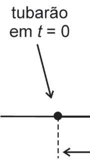 Parte visível da figura A: uma linha horizontal com um ponto identificado por uma seta e pelo texto “tubarão em t = 0”. Do ponto desce uma linha tracejada vertical; abaixo há uma seta horizontal apontando para a esquerda. O restante da figura está cortado à direita.