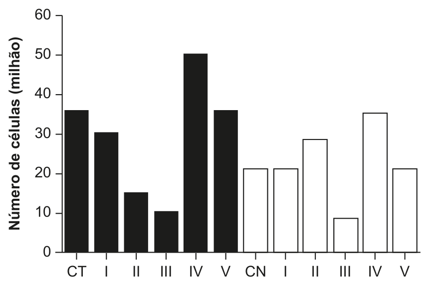Gráfico de barras com o eixo vertical indicando o número de células (em milhões) variando de 0 a 60. As barras escuras (células tumorais) apresentam os seguintes valores aproximados: CT (~36), I (~30), II (~15), III (~10), IV (~50) e V (~36). As barras claras (células normais) apresentam: CN (~21), I (~21), II (~29), III (~9), IV (~35) e V (~21).