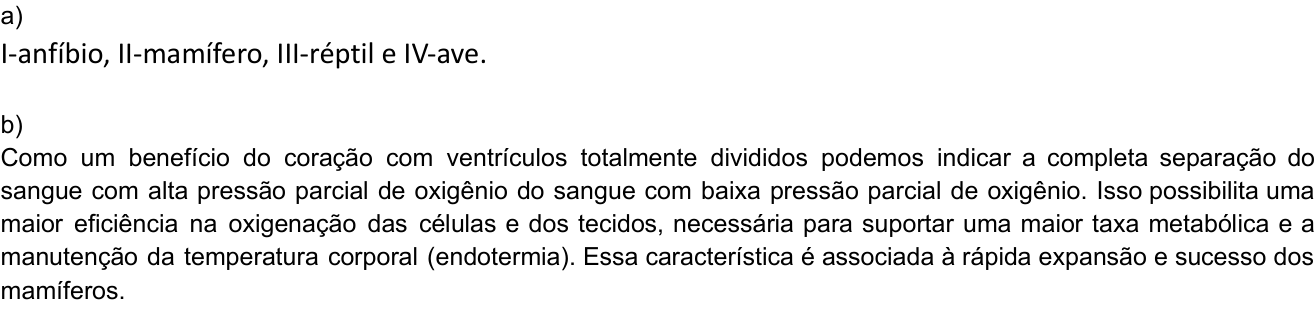 Resposta esperada no documento da Comvest