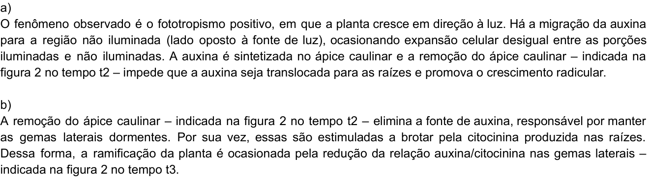 Resposta esperada no documento da Comvest