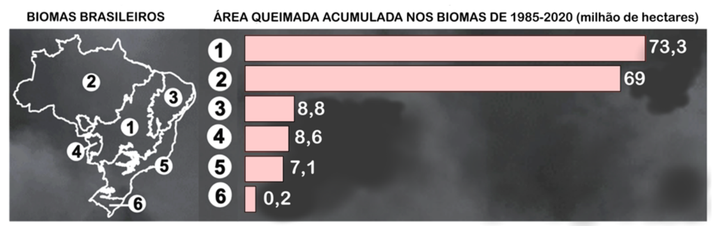 Mapa dos biomas brasileiros numerados de 1 a 6 associados a um gráfico de barras horizontais com a área queimada acumulada nos biomas de 1985 a 2020, em milhões de hectares: 1 possui 73,3; 2 possui 69; 3 possui 8,8; 4 possui 8,6; 5 possui 7,1; e 6 possui 0,2.