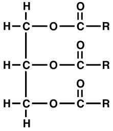 Estrutura química de um lipídio (triglicerídeo)
