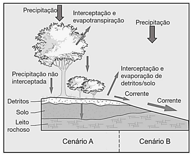 Diagrama comparando os processos hidrológicos em dois cenários: o Cenário A, com cobertura vegetal arbórea e arbustiva, camada de detritos sobre o solo e leito rochoso, destacando precipitação, interceptação e evapotranspiração, precipitação não interceptada e infiltração no solo; e o Cenário B, em terreno inclinado e sem cobertura vegetal, com solo mais fino sobre o leito rochoso, destacando precipitação direta e maior corrente superficial de água.