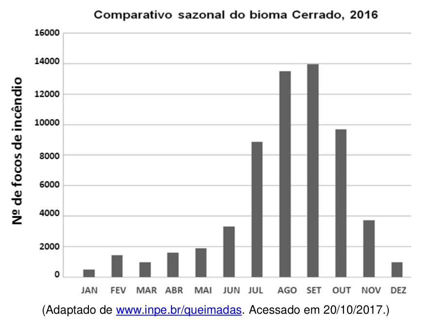Gráfico de barras intitulado "Comparativo sazonal do bioma Cerrado, 2016". O eixo vertical indica o "Nº de focos de incêndio", variando de 0 a 16000 com divisões a cada 2000. O eixo horizontal mostra os meses de JAN a DEZ. O número de focos mantém-se baixo de janeiro a maio (abaixo de 2000), aumenta em junho (cerca de 3300), sobe acentuadamente em julho (cerca de 8800) e atinge os maiores valores em agosto (cerca de 13500) e setembro (cerca de 14000), diminuindo em outubro (cerca de 9700), novembro (cerca de 3700) e dezembro (cerca de 1000). Abaixo do gráfico consta a referência: "(Adaptado de www.inpe.br/queimadas. Acessado em 20/10/2017.)"