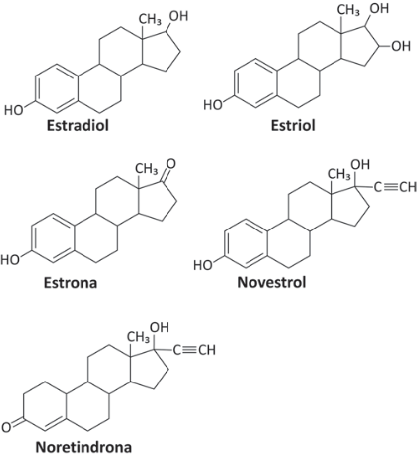 Fórmulas estruturais planas dos hormônios esteroides estradiol, estriol, estrona, novestrol e noretindrona, indicando as hidroxilas, carbonilas e insaturações em cada molécula.